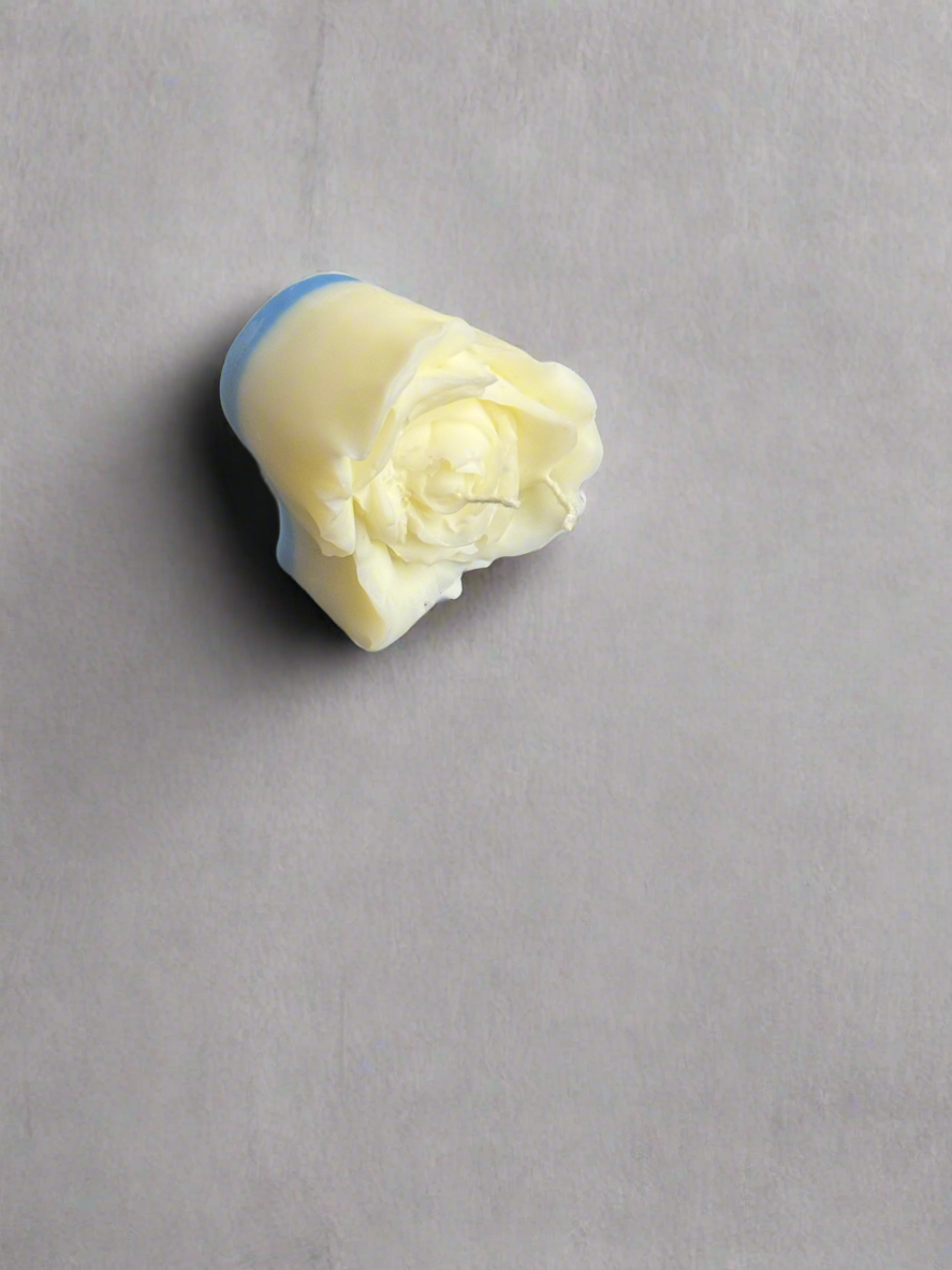 Scented Small Flower two-color comes in a 3-pack wax melt