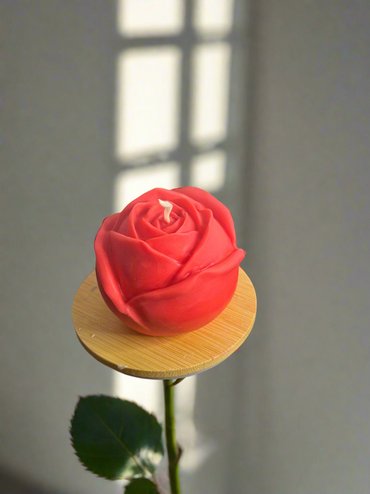 Large Red Rose